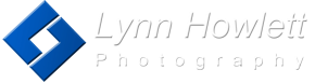 Lynnphoto.com